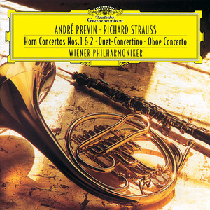 Duet-Concertino, TrV. 293 - II. Andante