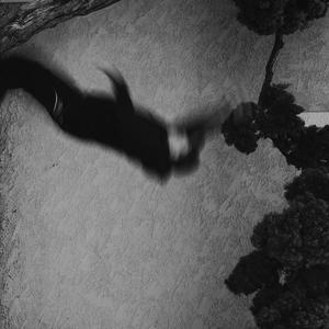 TRUST FALL (Explicit)