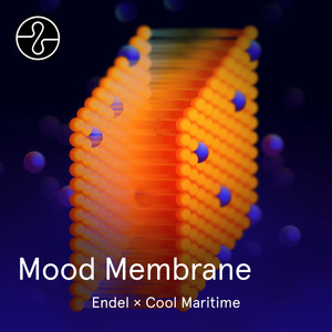 Mood Membrane