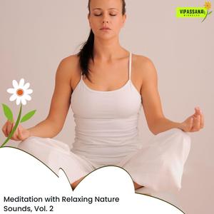 Calming Frequencies Of Nature (Original Mix)