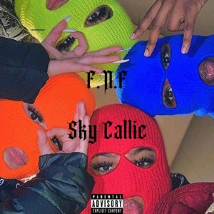 F.N.F. (Remix|Explicit)