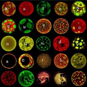 Antes Que O Mundo Acabe