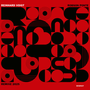Dies ist die Geschichte von Robson Ponte (Thore Pfeiffer Remix)