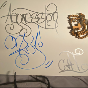 Aggression (Explicit)