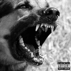 DOG FOOD (Explicit)