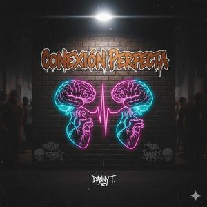 Conexión Perfecta