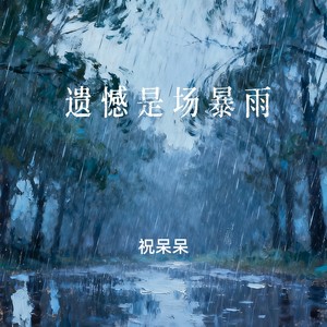 遗憾是场暴雨-祝呆呆
