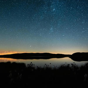 Goose Chase（桁）