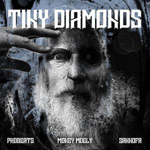 Tiny Diamonds (feat. Money Mogly & phdbeats)