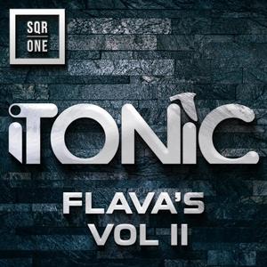 Itonic Flavas Volume 2