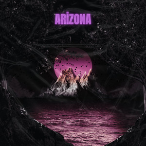 BartuKaanAkcay - 4rizona