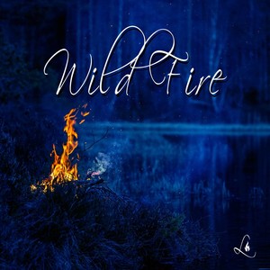Wild Fire (Original Mix)