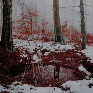 cant wait to disappear (Explicit)