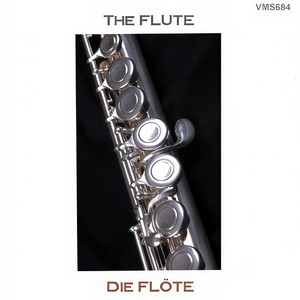 Flute Concerto - I. Sferico