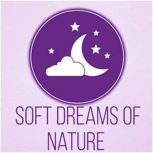 Soft Dreams of Nature - New Age Music for Training and Meditation, Background Music for Massage Therapy, Soothing Spa Nature Relaxation, Pacific Ocean Waves for Well Being and Healthy Lifestyle, Yin Yoga