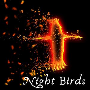Night Birds