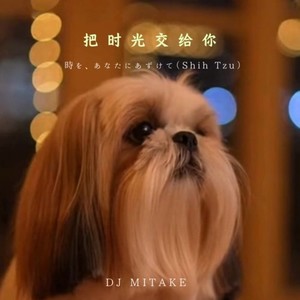 把时光交给你封面