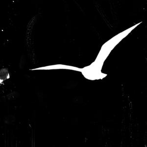 GHOST (Explicit)