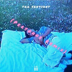 Too Sentient(feat. Persønne) (Remix)