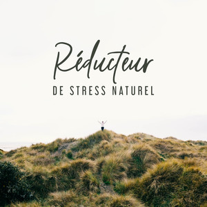 Réducteur de Stress Naturel: Musique qui Aide à Soulager le Stress et la Tension, Vous Détend Profondément et Vous Aide à Vous Détendre