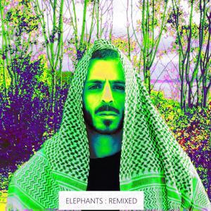 Elephants : Remixed (Explicit)