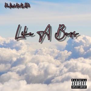 Like A Boss (Explicit)