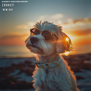 New Day (Radio Edit)