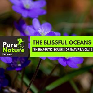 The Blissful Oceans - Therapeutic Sounds of Nature, Vol.10