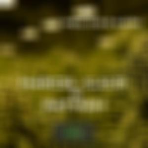 Weil ichs kann (Explicit)