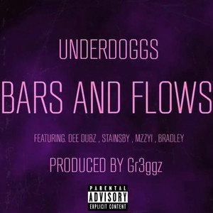 Bars and Flows (Explicit)