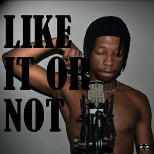 Like it or Not (Explicit)