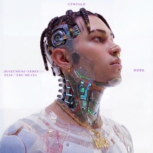 SURECHIGAI (feat. Emi Meyer) (Remix)