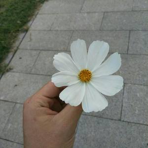 回忆里的那个人