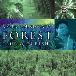 Mystic Soundscapes: Forest