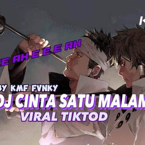 DJ CINTA SATU MALAM || VIRAL TIKTOD || BY KMF FVNKY