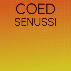 Coed Senussi