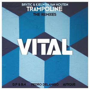 Trampoline - The Remixes