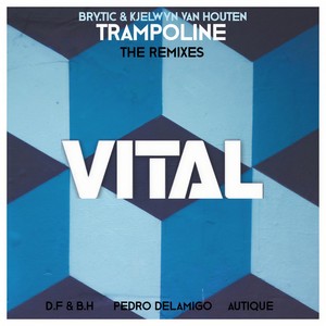 Trampoline (D.F. & B.H. Remix)