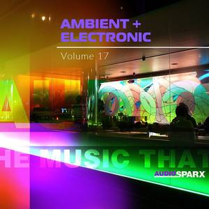 Ambient + Electronic Volume 17