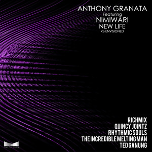 New Life (Quincy Jointz remix)
