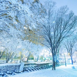 涙が雪になる前に