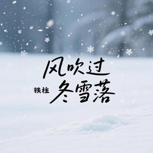 风吹过冬雪落