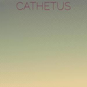 Cathetus