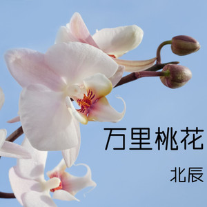 万里桃花