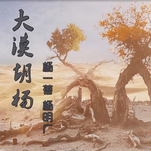 大漠胡杨 (Live)