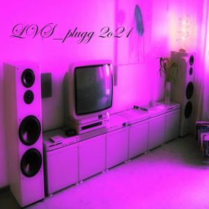 LVS_plugg 2o21 (Explicit)