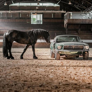 Most Wanted (feat. ForenC$) (Explicit)