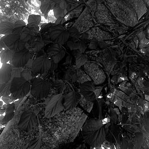 ND - Where did you go?