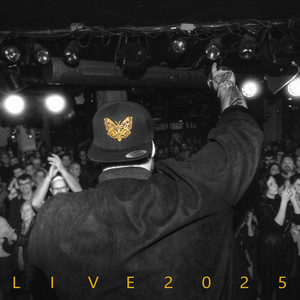Ding Für Eine Nacht (Live)