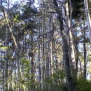 Kid Andre - Kaleidoscope (Explicit)